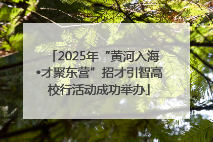 2025年“黄河入海•才聚东营”招才引智高校行活动成功举办